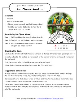 Characteristics of Birds Free Animals Worksheet