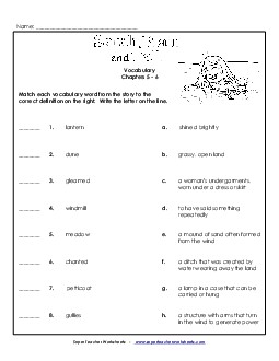 Vocabulary for Chapters 5-6 Book Sarah Plain And Tall Worksheet