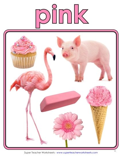 aPhoto Anchor Chart (Pink)