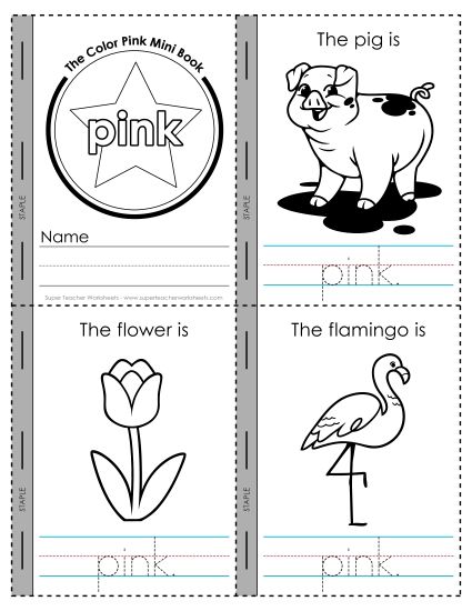 aThe Color Pink Mini Book