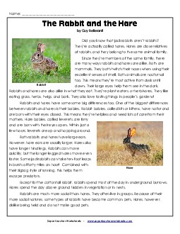 Rabbits and Hares 4th Grade Reading Comprehension Worksheet