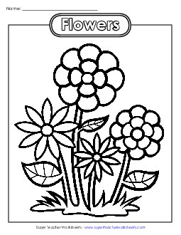 Flowers Coloring Pages Worksheet