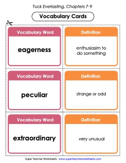 Vocabulary Cards for Chapters 7-9 Book Tuck Everlasting Worksheet