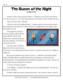 The Queen of the Night 6th Grade Reading Comprehension Worksheet