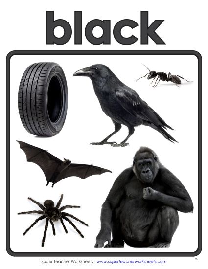 aPhoto Anchor Chart (Black)