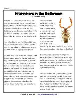 Pseudoscorpions Reading Comprehension Worksheet