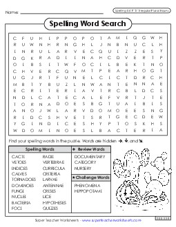 Word Search (F-12) Spelling F Worksheet