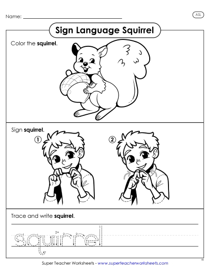 New Squirrel Worksheet New Squirrel Worksheet