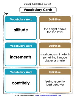 Vocab. Cards for Chapters 36-42 Book Holes Worksheet