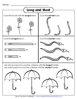 Longer and Shorter Measurement Worksheet