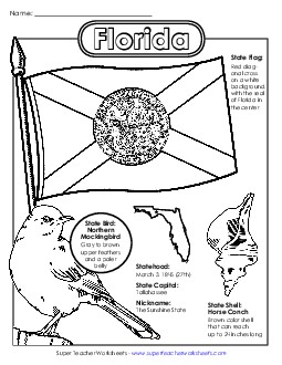 Florida State Symbols Coloring Page Free States Individual Worksheet