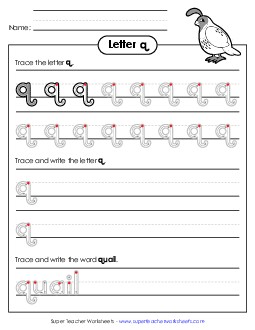 Lowercase q (Outlined Letters) Printing Handwriting Worksheet