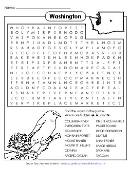 Word Search Puzzle States Individual Worksheet