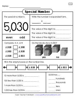 Special Number: 5,030 Worksheet