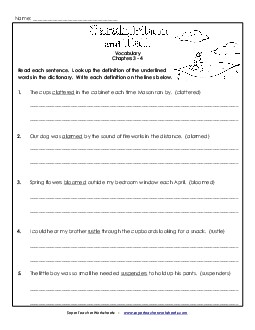 Vocabulary for Chapters 3-4 Book Sarah Plain And Tall Worksheet