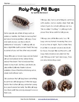 Article: Pill Bugs Reading Comprehension Worksheet