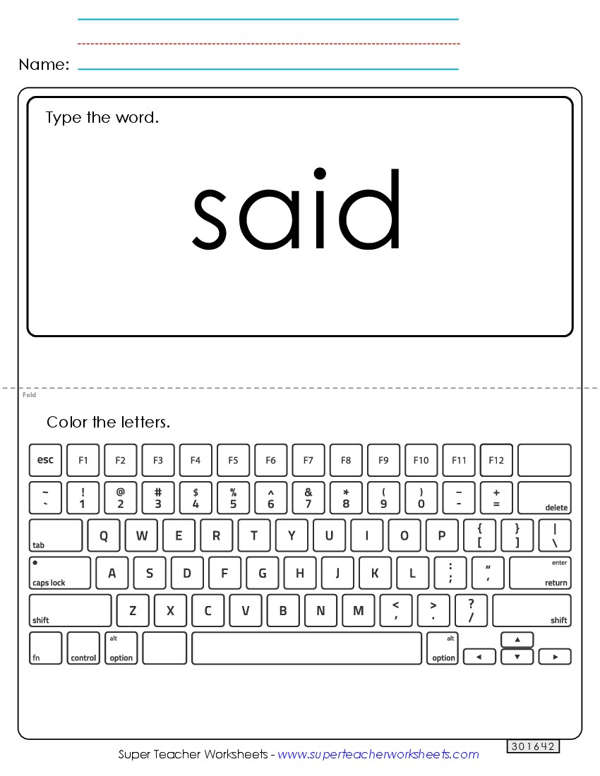 Type the Word: Said Sight Words Individual Worksheet