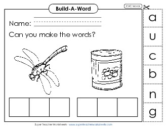 Build Words: Bug and Can Phonics Cvc Worksheet