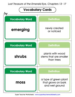 Vocab. Cards for Chapters 13-17 Book Geronimo Stilton Worksheet