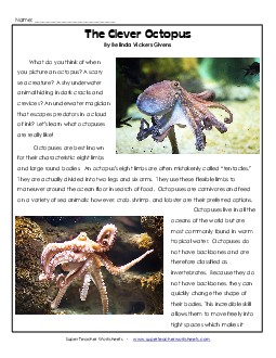 The Clever Octopus  5th Grade Reading Comprehension Worksheet