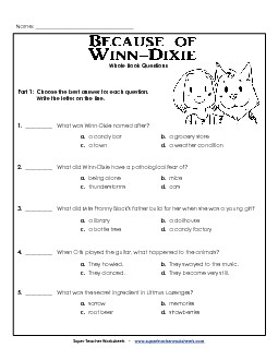 Whole Book Questions Book Because Of Winn Dixie Worksheet