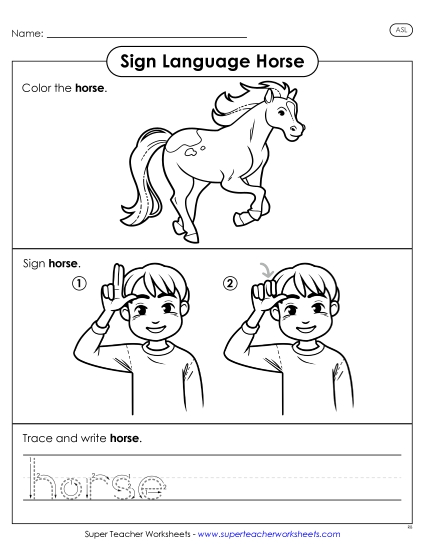 New Horse Worksheet New Horse Worksheet