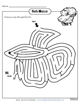 Fish Maze Brainteasers Worksheet