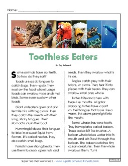 Toothless Eaters - Animal Article 3rd Grade Reading Comprehension ELA Worksheet