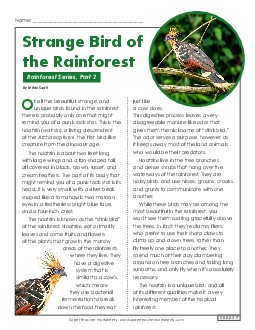 Rainforest, Part 2: Hoatzin Bird 5th Grade Reading Comprehension Worksheet