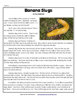 Banana Slugs 5th Grade Reading Comprehension Worksheet