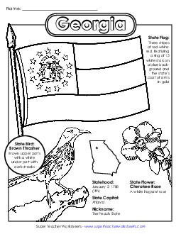 Georgia State Symbols Coloring Page Free States Individual Worksheet