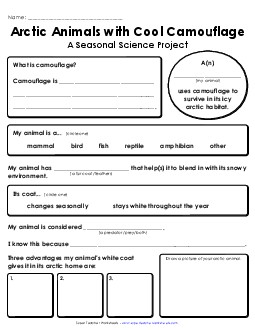 Arctic Animals: Camouflage Research Report Worksheet