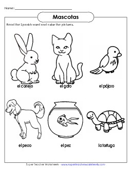 Pet Pictures Spanish Worksheet