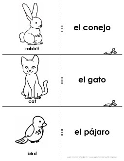 Flashcards: Pets Spanish Worksheet