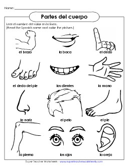 Body Part Pictures Spanish Worksheet