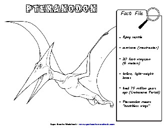 Pteranodon Fact File Dinosaurs Worksheet