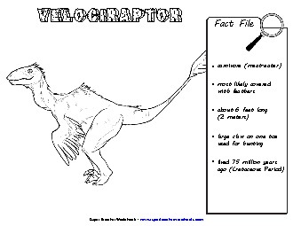 Velociraptor Fact File Dinosaurs Worksheet