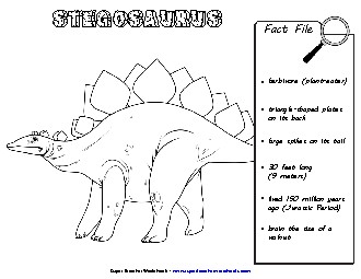 Stegosaurus Fact File Dinosaurs Worksheet