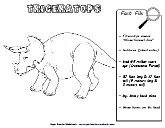 Triceratops Fact File Dinosaurs Worksheet