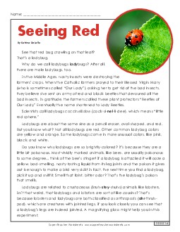 Ladybugs Reading Comprehension Worksheet