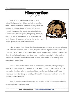 Hibernation (Article & Questions) Reading Comprehension Worksheet