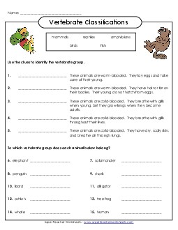 Vertebrate Questions Animals Worksheet