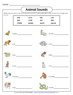 Animal Sound Verbs Actionverbs Worksheet