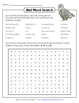 Birds Wordsearch Worksheet