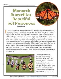 Monarch Butterfly (Non-Fiction) Reading Comprehension Worksheet