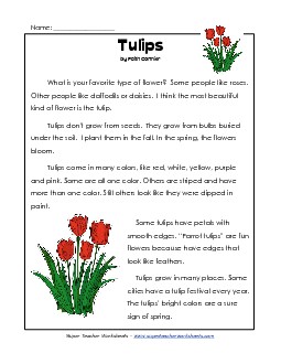 Tulips (Non-Fiction) 2nd Grade Reading Comprehension Worksheet