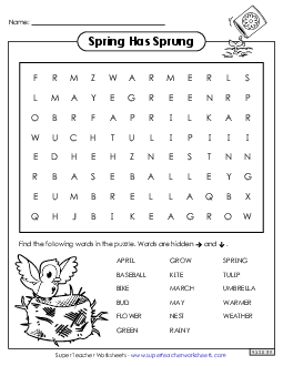 Spring Word Search (Primary) Worksheet