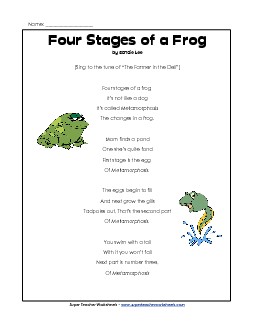 Four Stages of a Frog Song Songs Worksheet