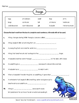 Frog Life Cycle Questions Animals Worksheet