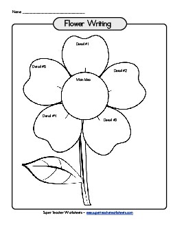 Writing a Paragraph - Flower (no lines) Free Graphic Organizers Worksheet